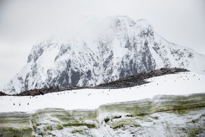 The Antarctic in Strata - Antarctica Peninsula