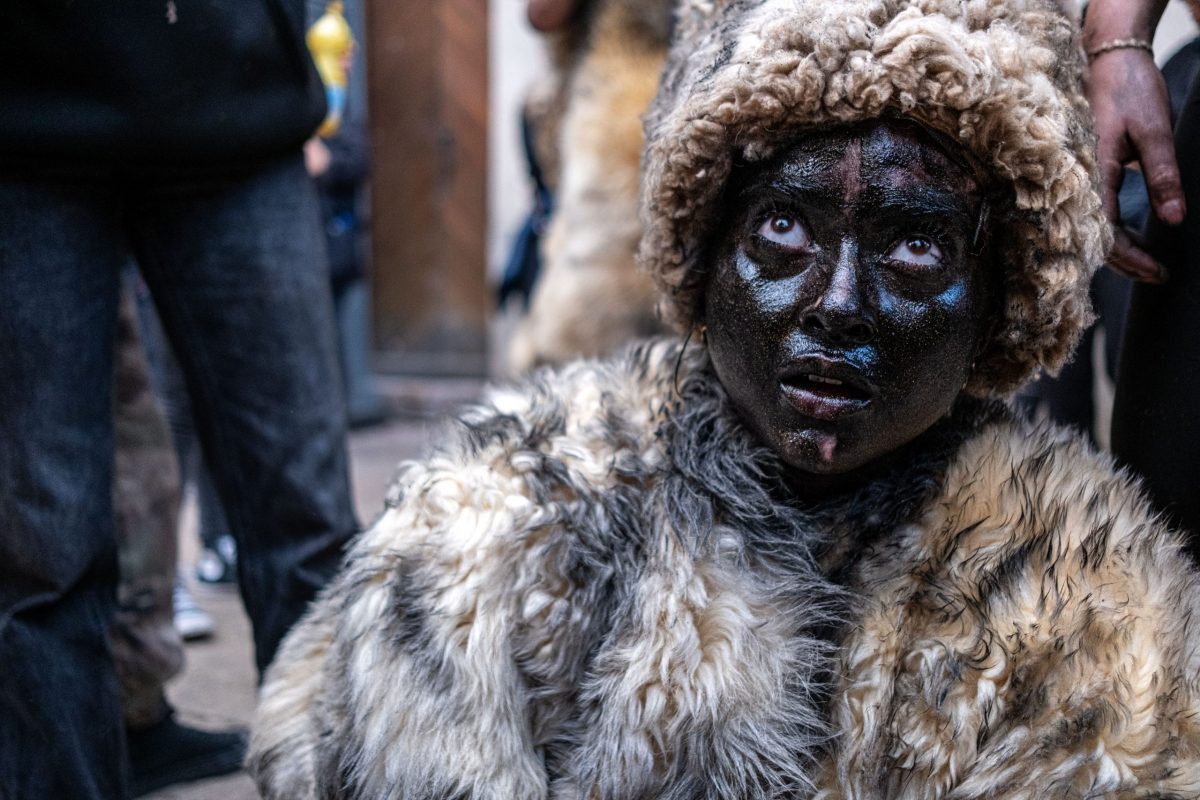 047_LesOuresesàPaillettes