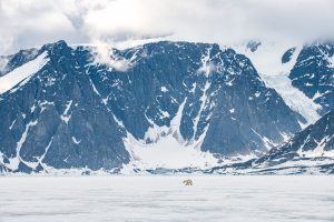 Arctic Majesty - Svalbard